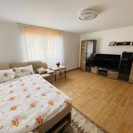 Andrei'S House Apartment Сибиу Екстериор снимка