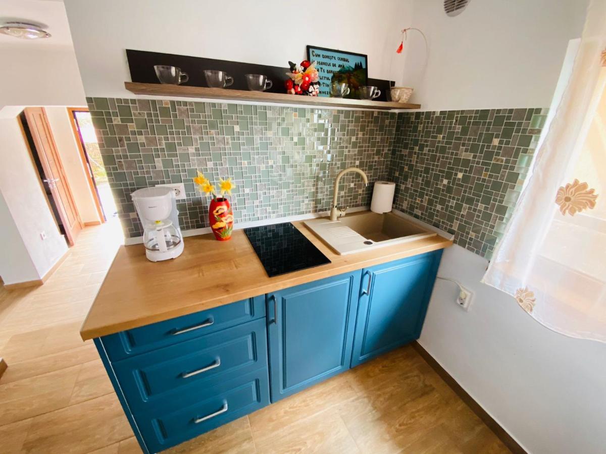 Andrei'S House Apartment Сибиу Екстериор снимка