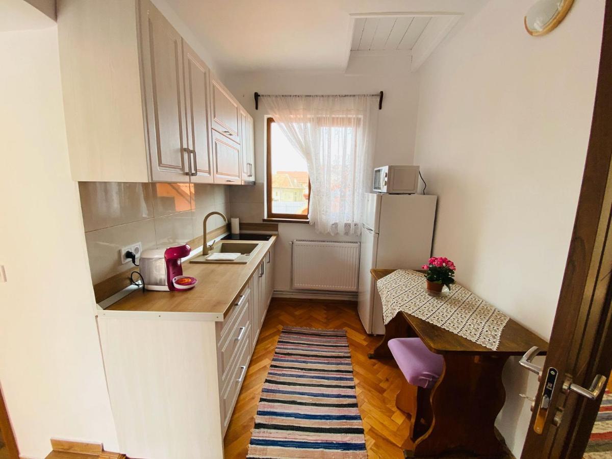Andrei'S House Apartment Сибиу Екстериор снимка