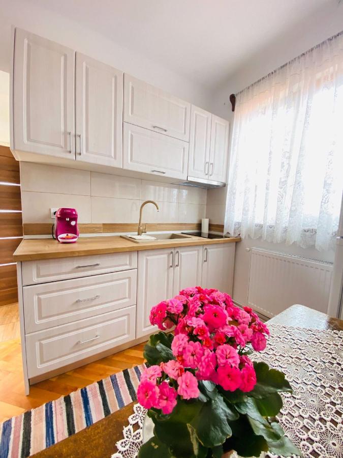 Andrei'S House Apartment Сибиу Екстериор снимка