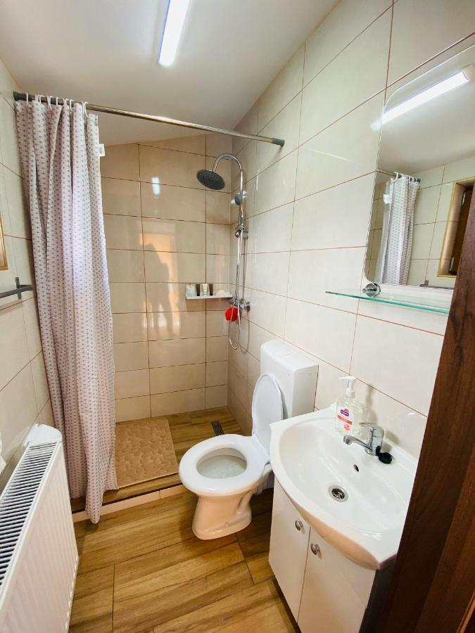 Andrei'S House Apartment Сибиу Екстериор снимка
