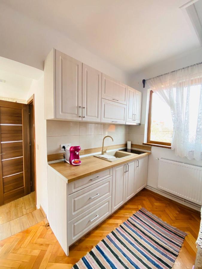 Andrei'S House Apartment Сибиу Екстериор снимка